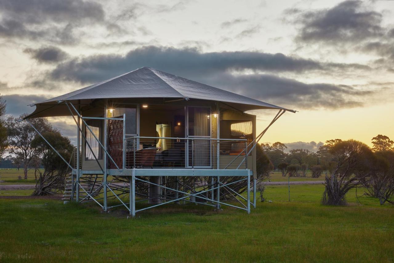 Willow Wood Glamping Retreat Broadwater Exterior photo